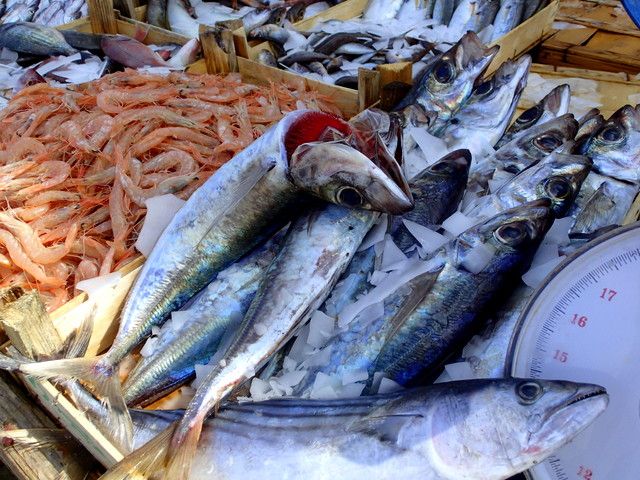 Fresh fish at the Trapani fish market