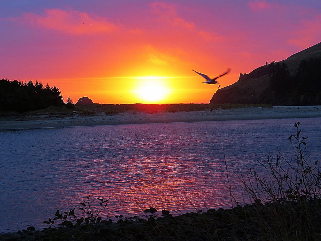 Otis Cafe: The Oregon Coast Restaurant You Can't Miss