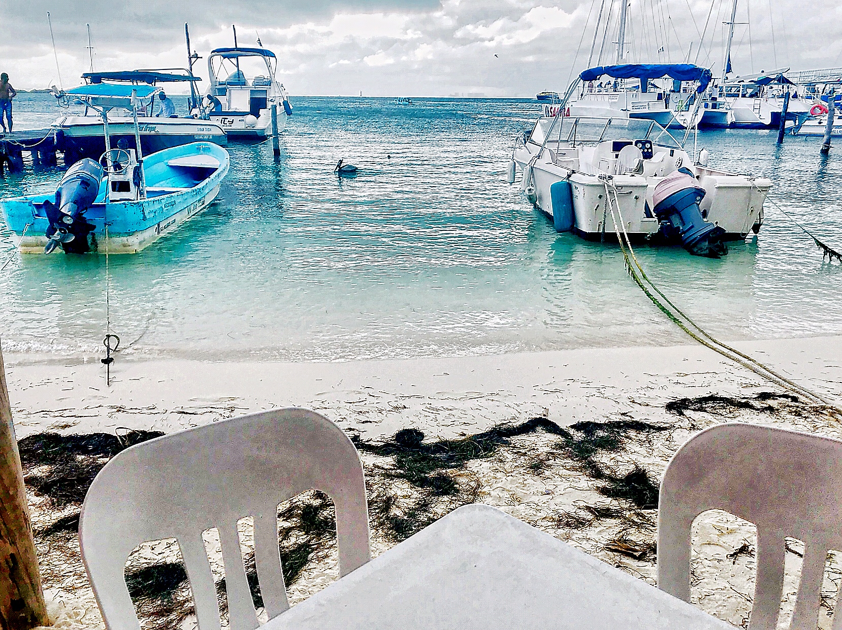 Isla Mujeres, Mexico: What To Eat And Where To Drink