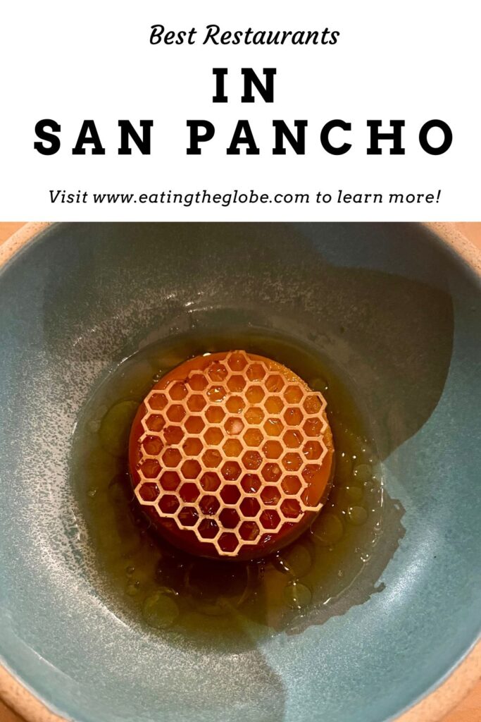 Best Restaurants In San Pancho, Mexico