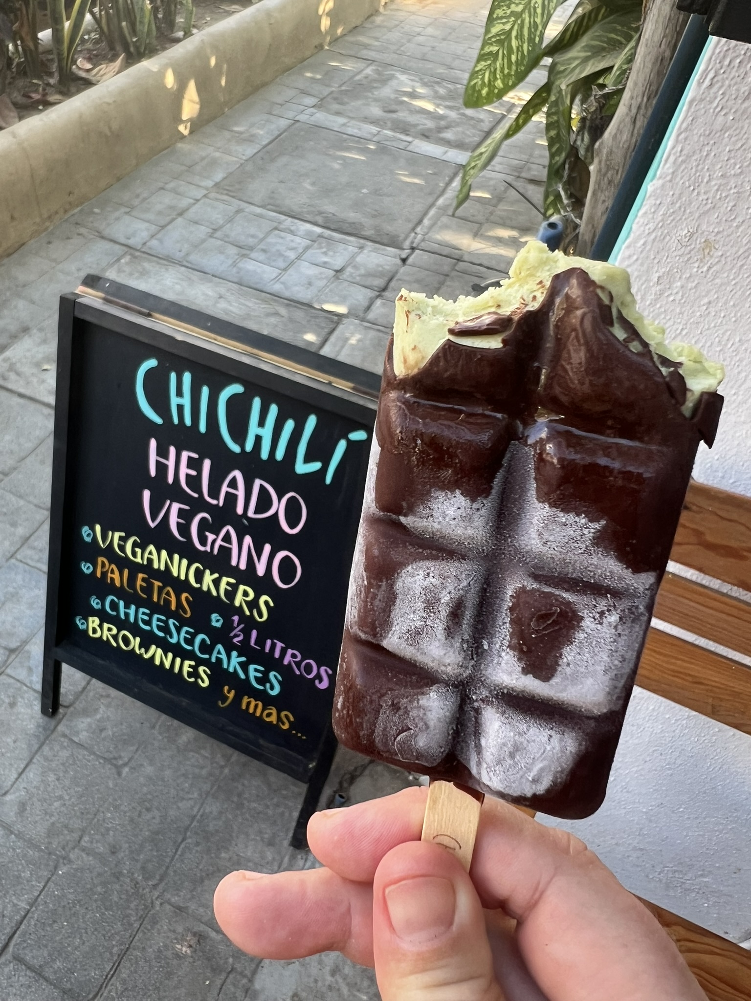 Vegan ice cream San Pancho